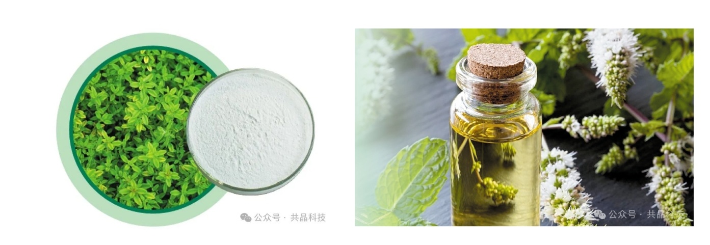 精準營養、提效降本|晶優佳®伴禽清涼一(yī)夏