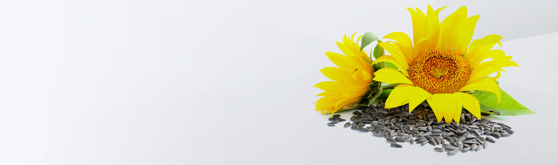 維生(shēng)素E共晶