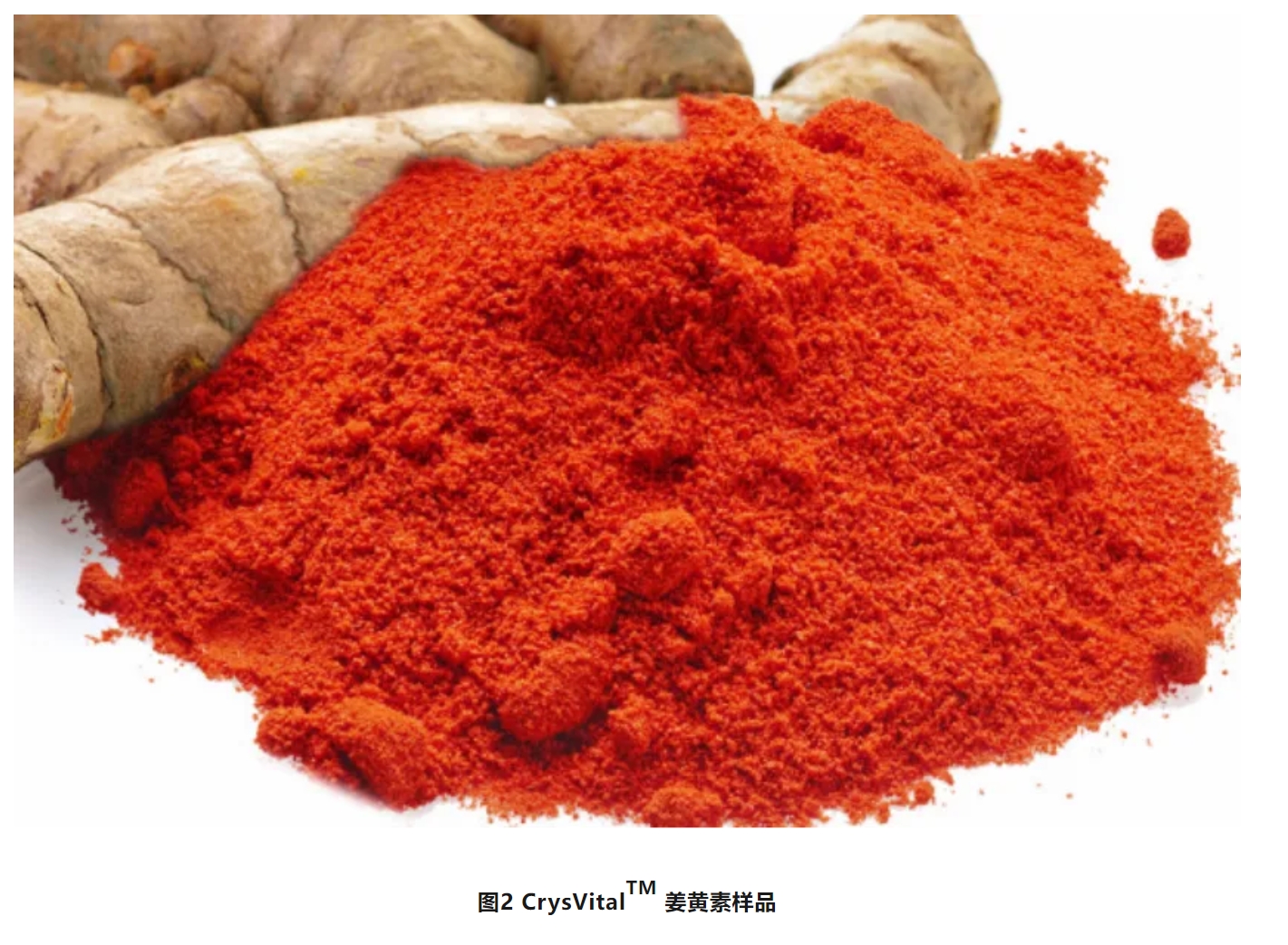 共晶科(kē)技(jì) | 姜黃(huáng)素-關節健康的(de)守護者