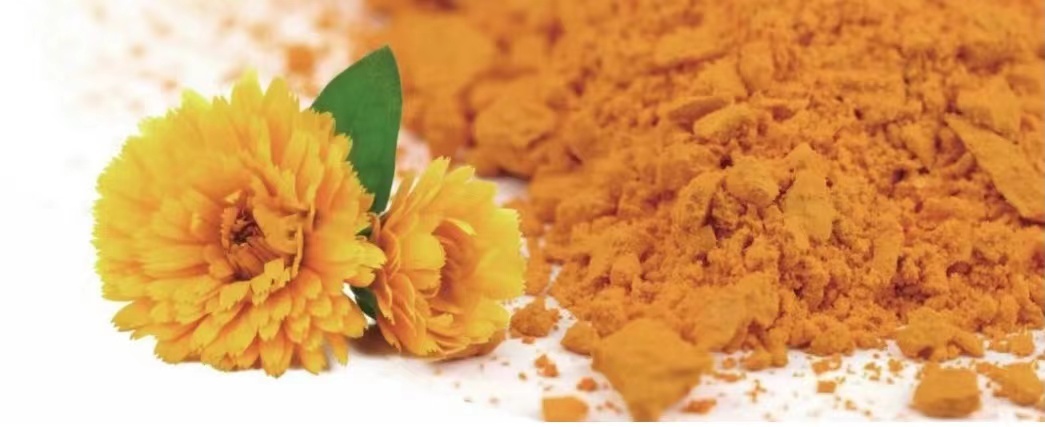 葉黃(huáng)素在動物(wù)養殖中的(de)應用(yòng)