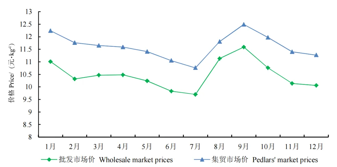動物(wù)健康 | 晶優佳®--蛋禽盈利之利器(qì)