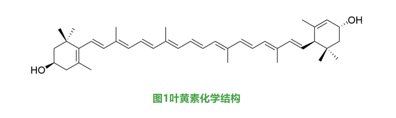 CrysVital Lutein（葉黃(huáng)素共晶）-更穩定的(de)視(shì)界守護者