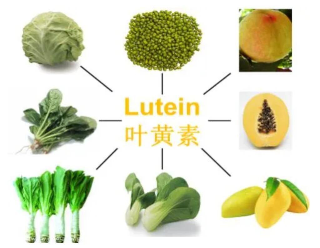 葉黃(huáng)素的(de)差異，您了(le)解嗎(ma)？